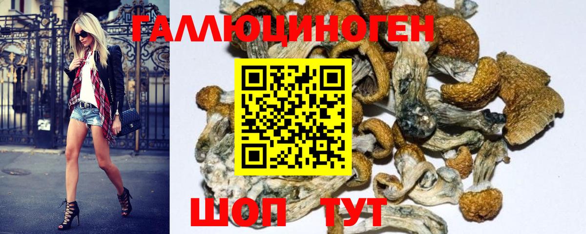 Псилоцибиновые грибы GOLDEN TEACHER Саранск