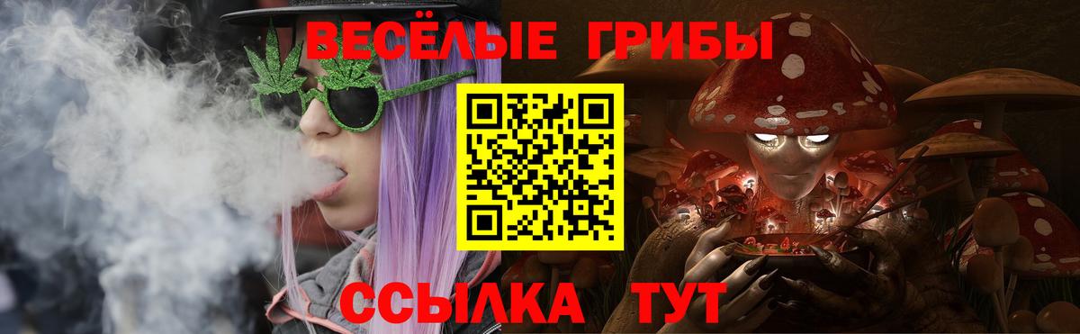 Галлюциногенные грибы Psilocybe  Галлюциногенные грибы MAGIC MUSHROOMS  Вход с VPN  Саранск 